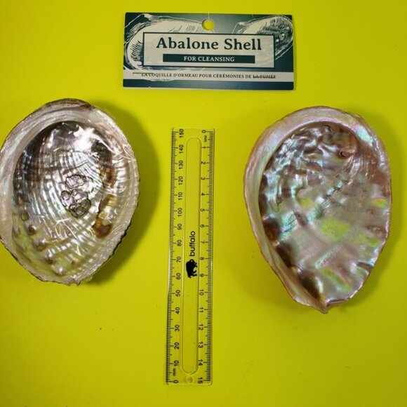 Abalone Shells Two For Cleansing Or Decor Ideas - Picture 1 of 12